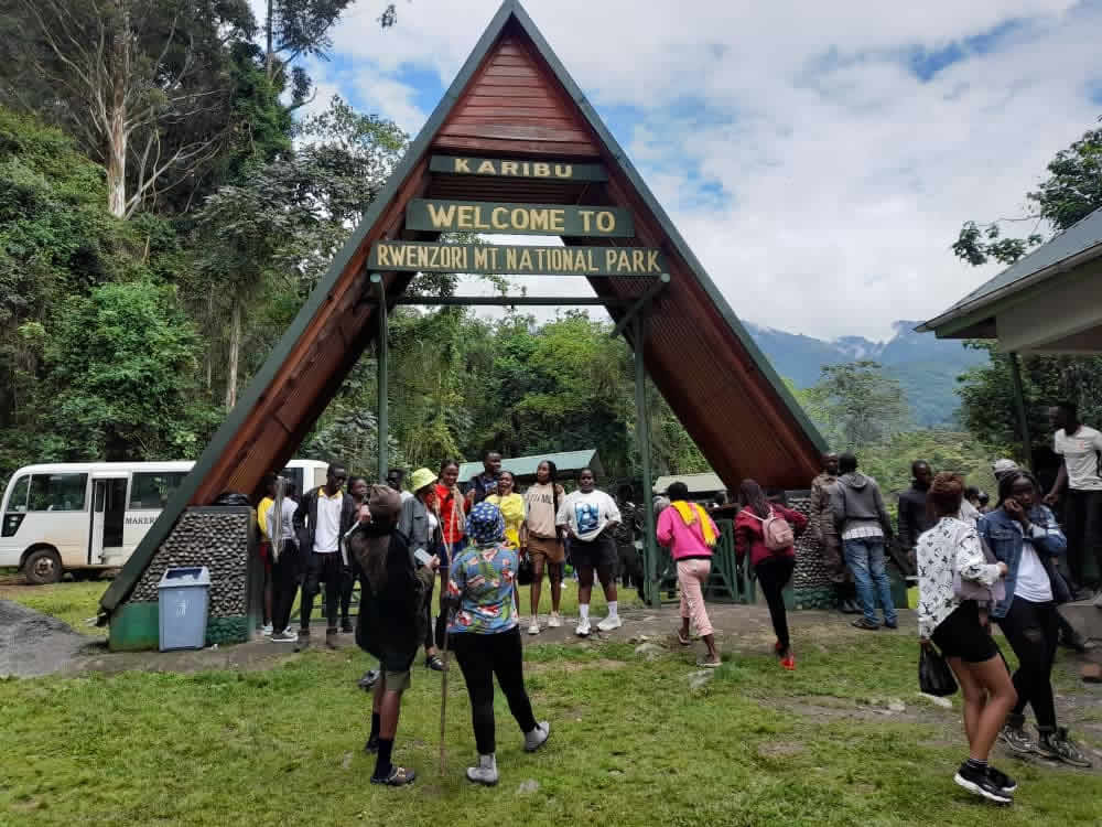 Beginners Guide to Hike Rwenzori Mountains National Park