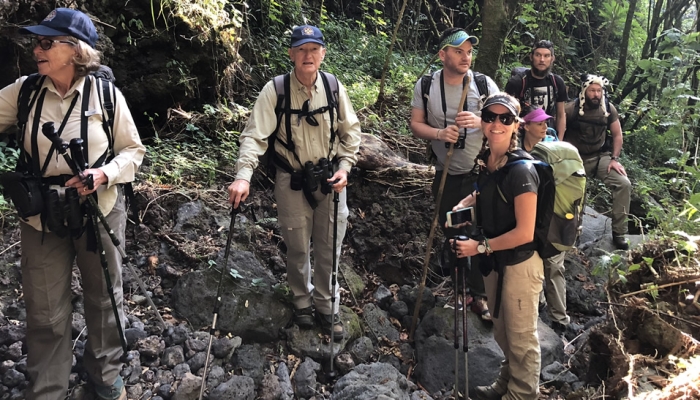 Trekking Poles-what to waer