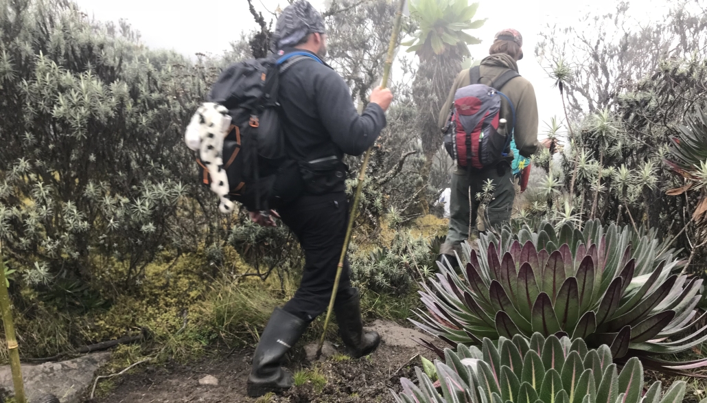 Walking Slowly