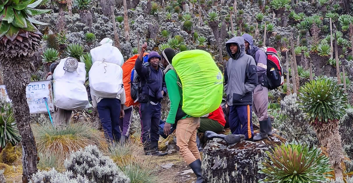 Rwenzori mountains porters