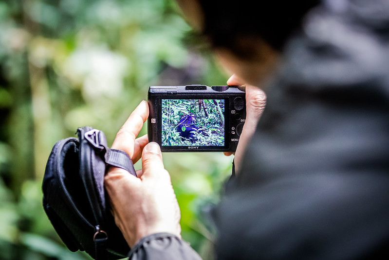 What to Pack For cHimpanzee trekking safaris in Kibale Forest National Park