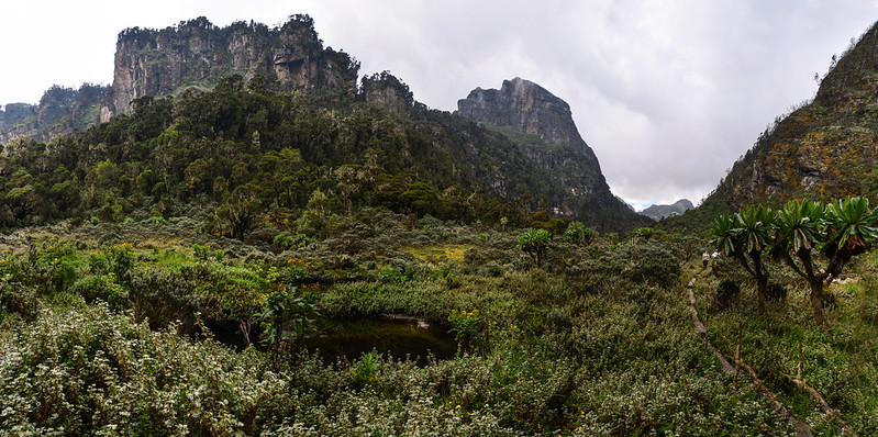 8 Days Rwenzori Mountains Trekking to Cheptegei Peak (4,907m) Kilembe trail or Southern Circuit route