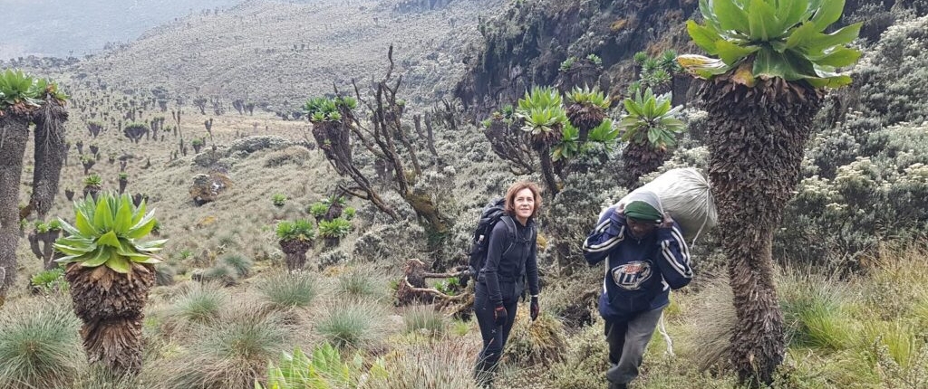 Bukurungu Trail -8days Rwenzori trekking to Margherita Peak