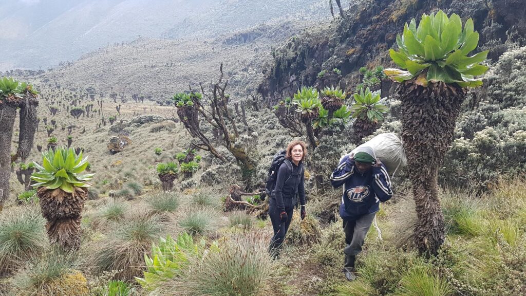 Bukurungu Trail -8days Rwenzori trekking to Margherita Peak