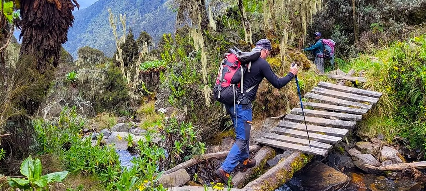 1 day Rwenzori Mountains trekking via Mahoma Loop of Rwenzori Mountains National Park-Responsible trekking