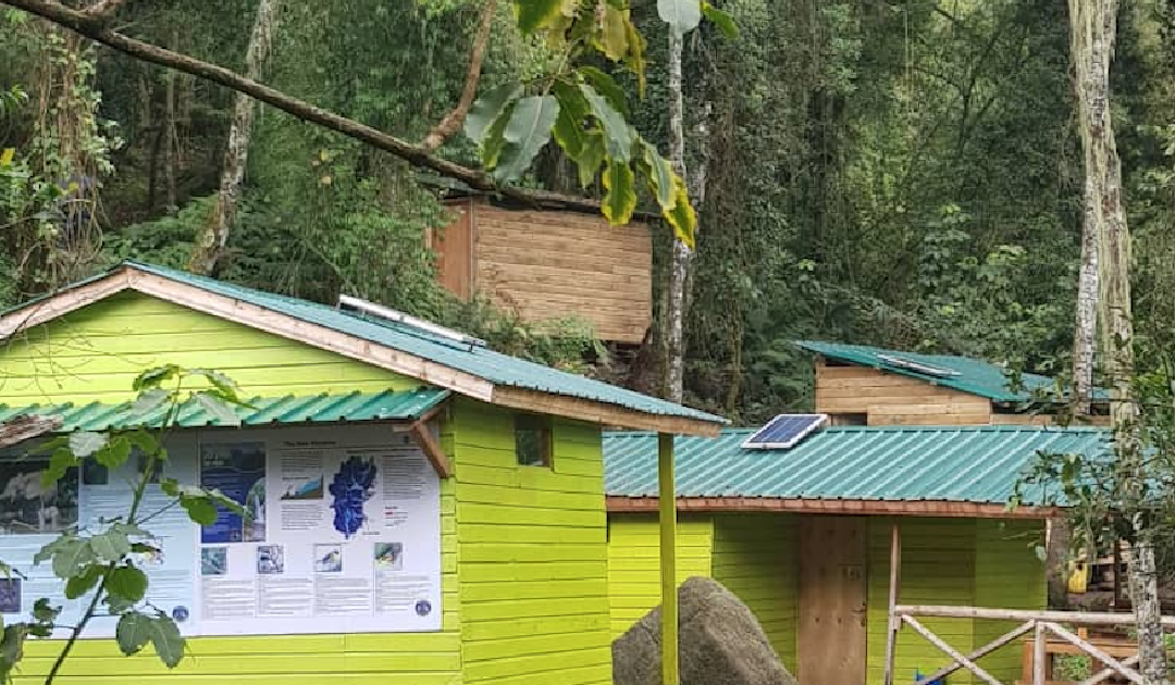 sine camp rwenzori mountains kilembe trail route